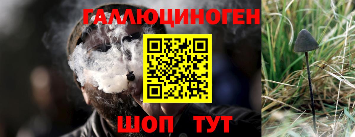 Псилоцибиновые грибы мухоморы  Вход с VPN  Дербент 