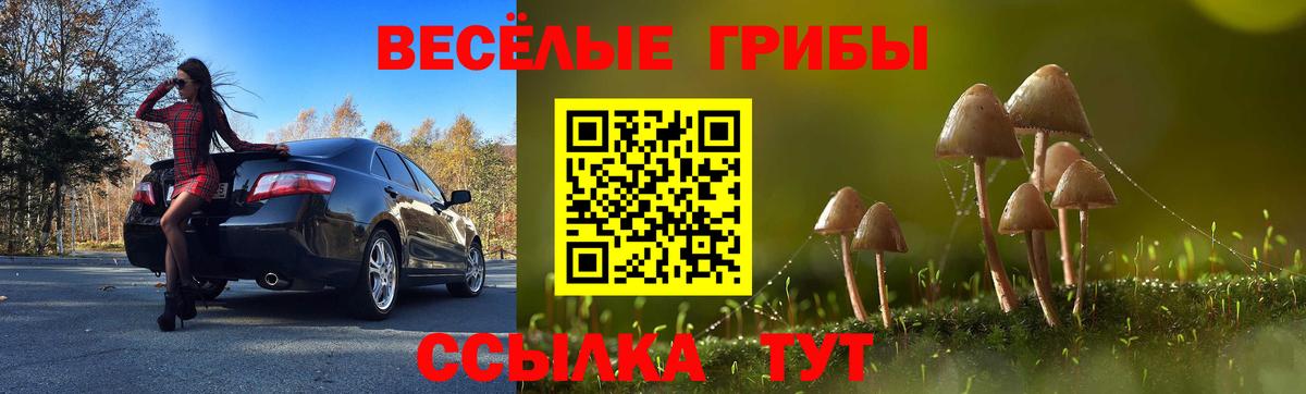 Галлюциногенные грибы GOLDEN TEACHER Дербент